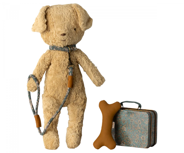 Puppy Supply - Accessories Blue
