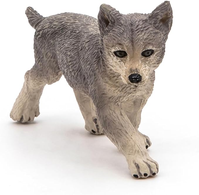 Grey Wolf Cub