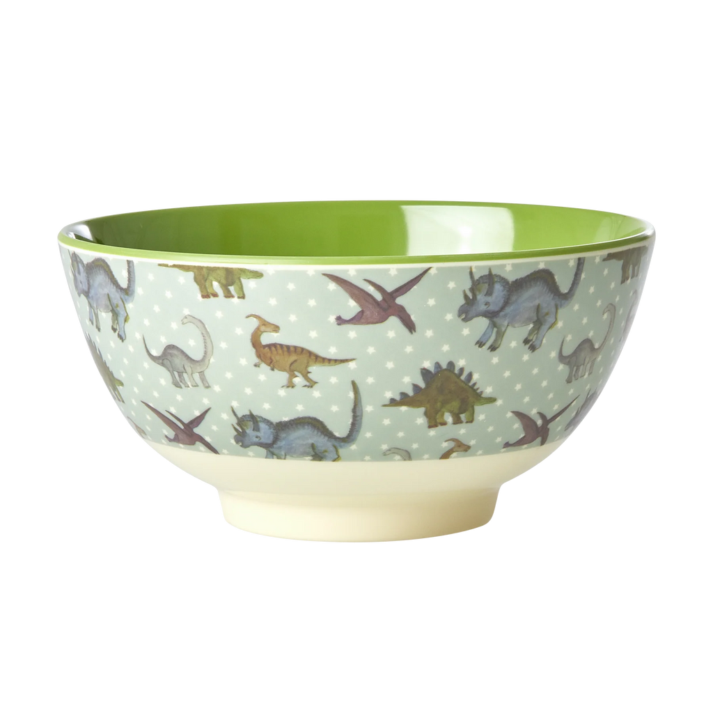 Two Tone Bowl in New Dino Print - Green/Dusty Blue
