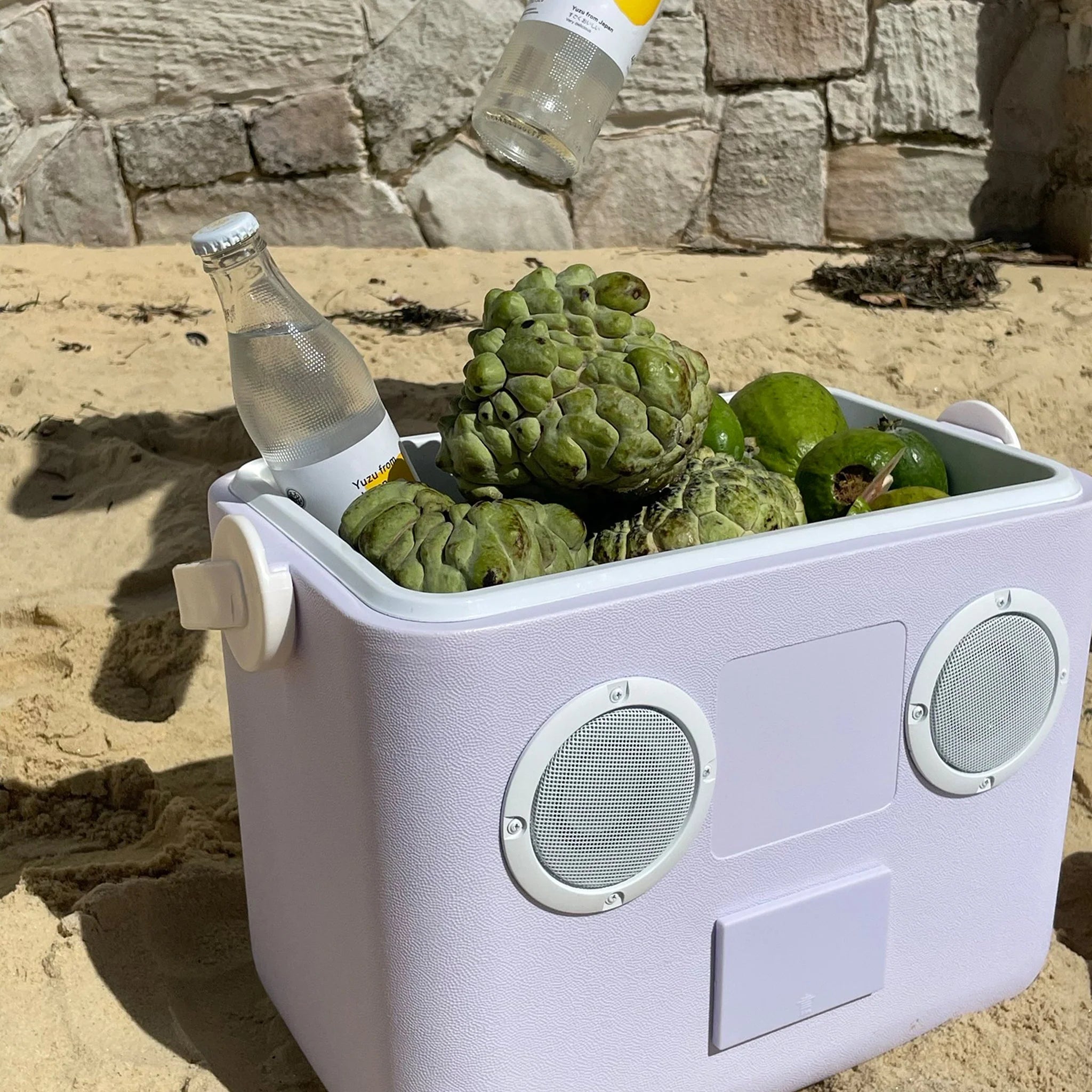 SunnyLife Beach Cooler - Bluetooth newest Speaker