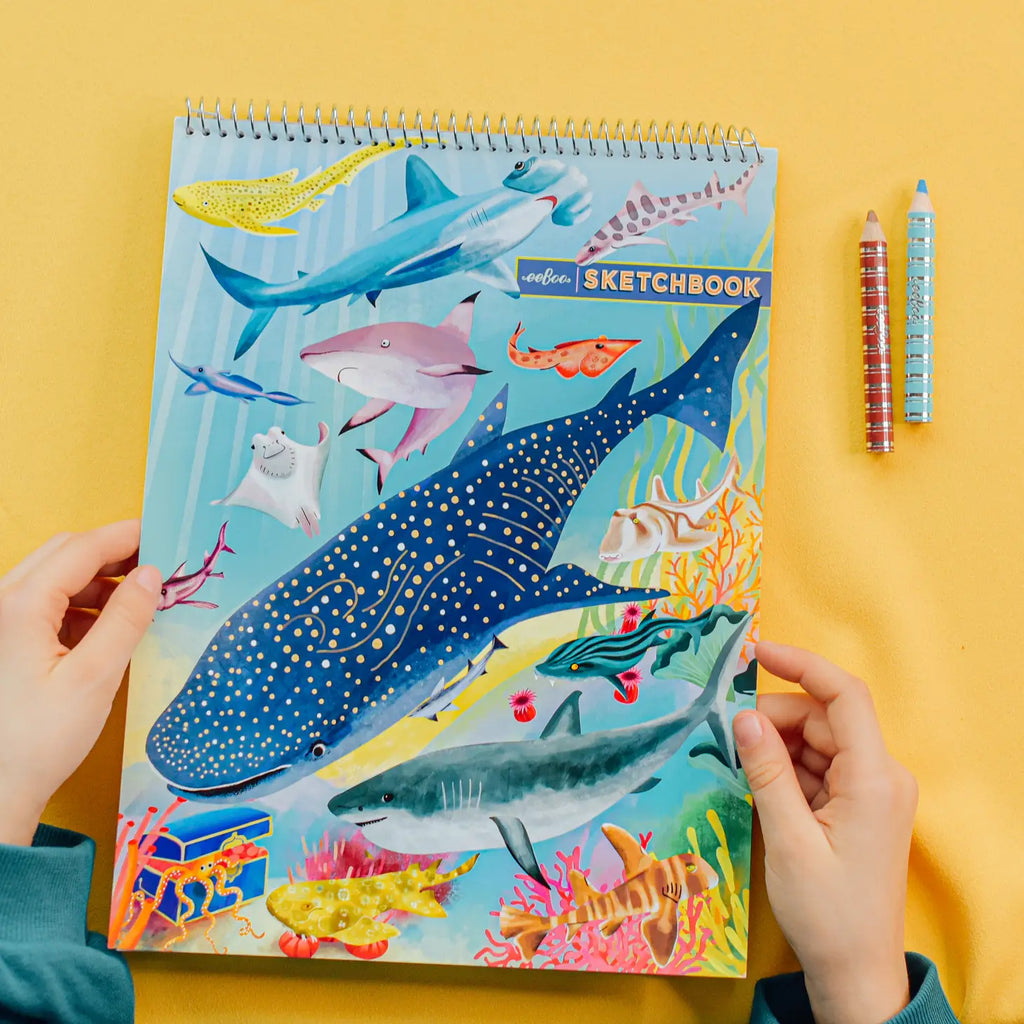 Shark Sketchbook
