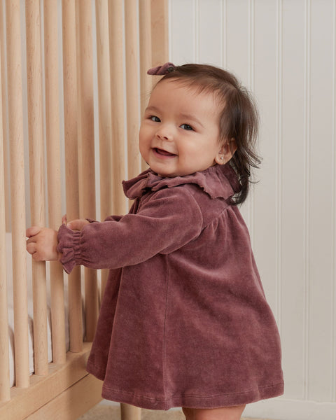 Velour Baby Dress in Fig