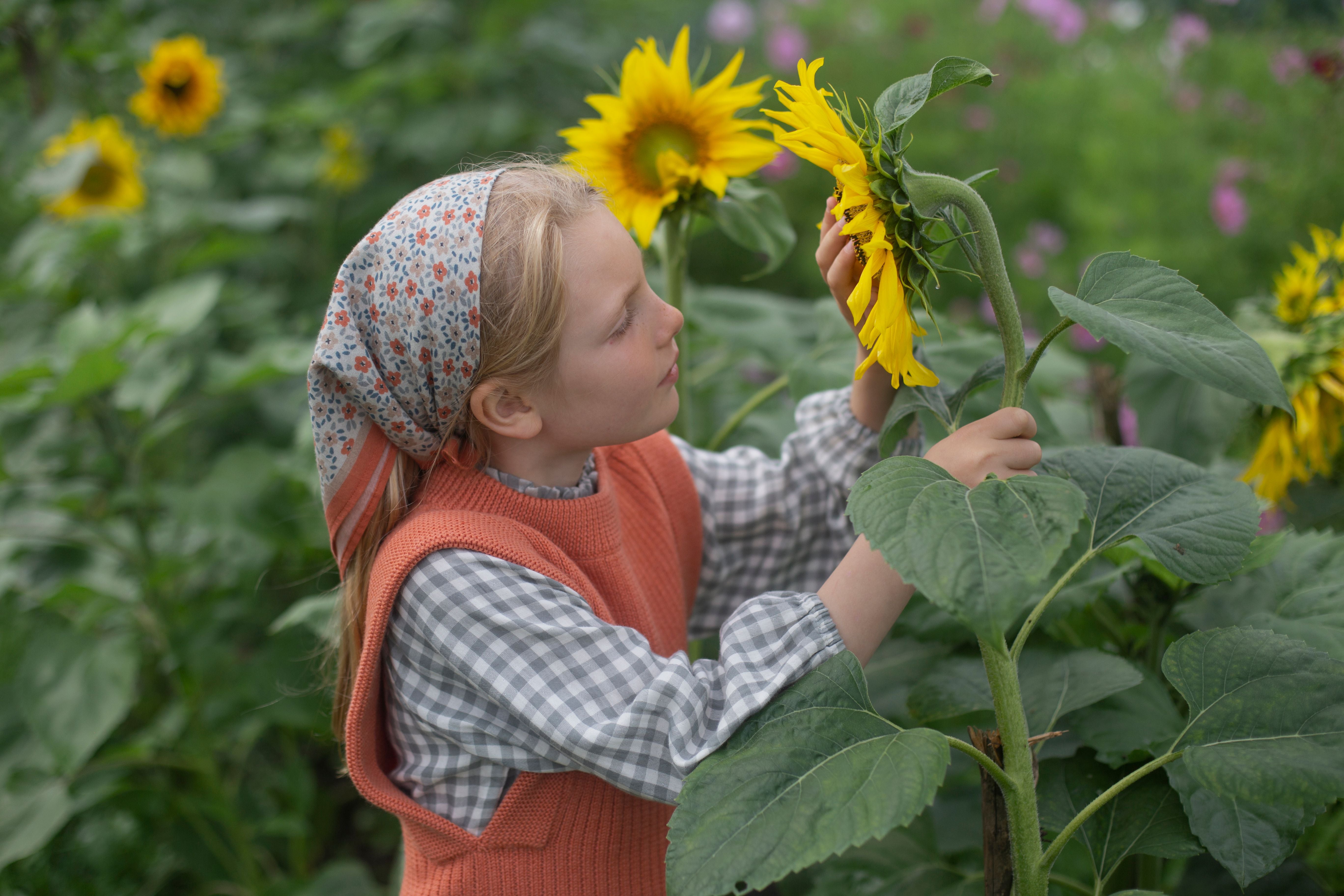 Soor Ploom, Imelda Blouse in Gingham – CouCou