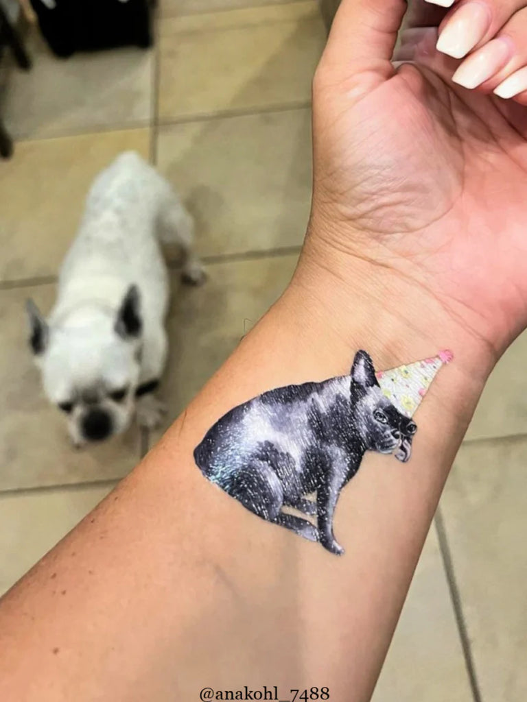 French Bulldog