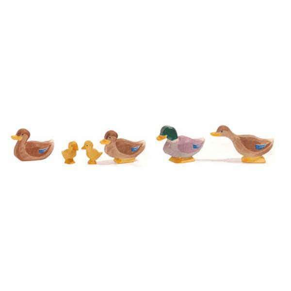 Ostheimer Wooden Toys,Duck, Long Neck,CouCou,Toy